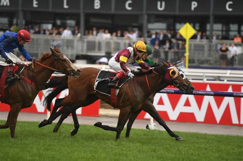 cantala stakes results